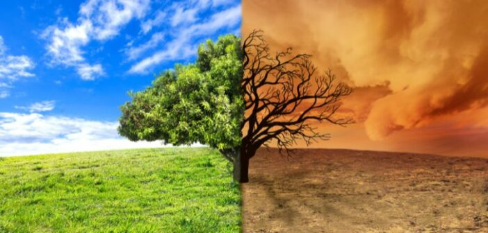 Oracle Climate Change Analytics